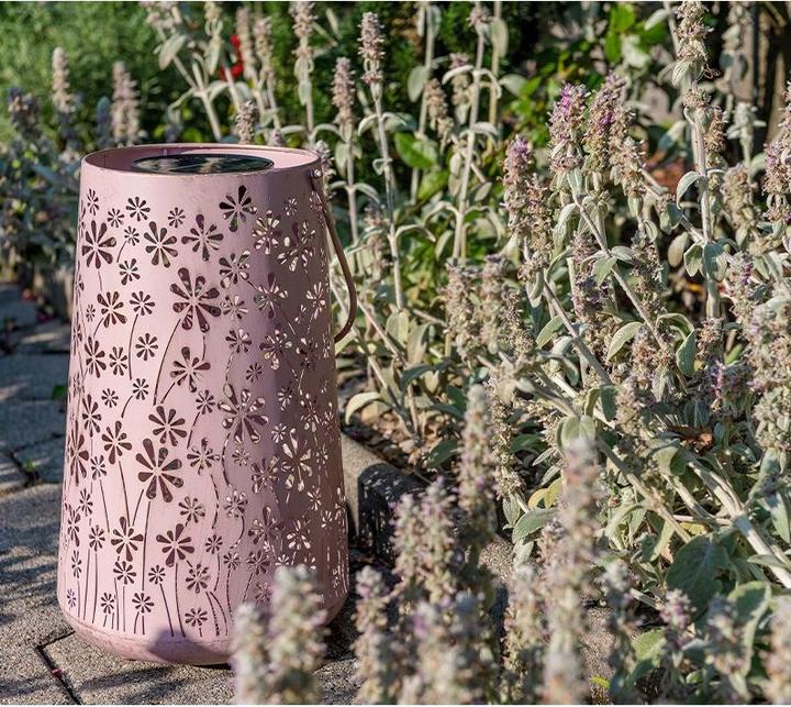 Actual product image STT Antic Daisy