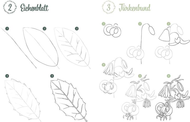 Immagine prodotto Disegna 300 motivi - Botanica