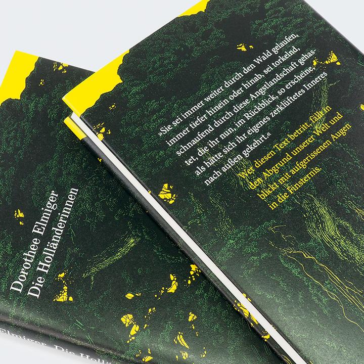 Image du produit Die Holländerinnen (Allemand, Elmiger, Dorothee, 2025)