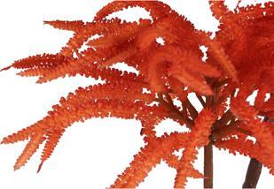 Immagine prodotto Kunstblume Amaranthus 2 Sortiment Pe 84 Cm (84 cm)