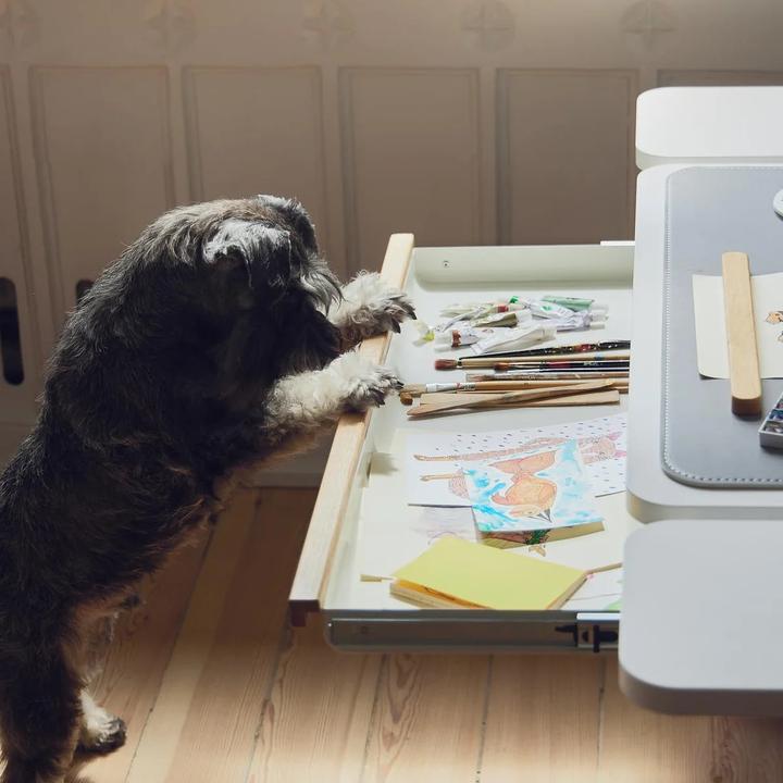 Actual product image Flexa Drawer for desk Moby