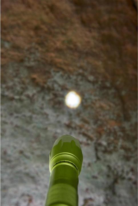 Actual product image Haba Terra Kids
