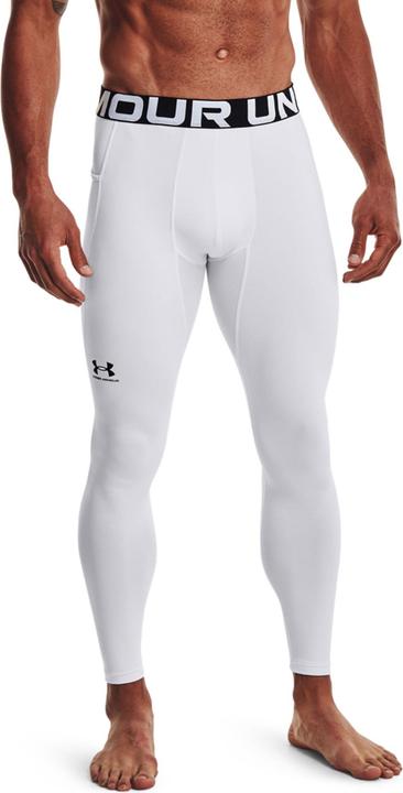 Actual product image Under Armour ColdGear functional tights men (L)