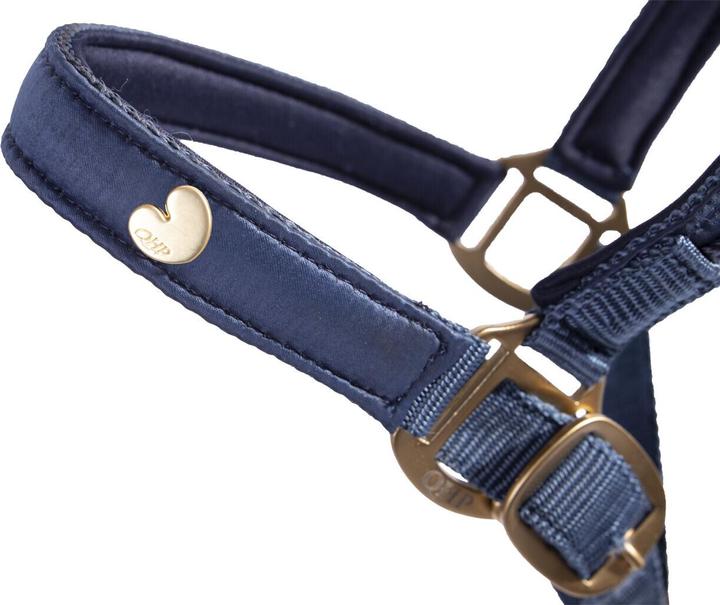 Immagine prodotto Qhp set di cavezza e corda per cavalli lily