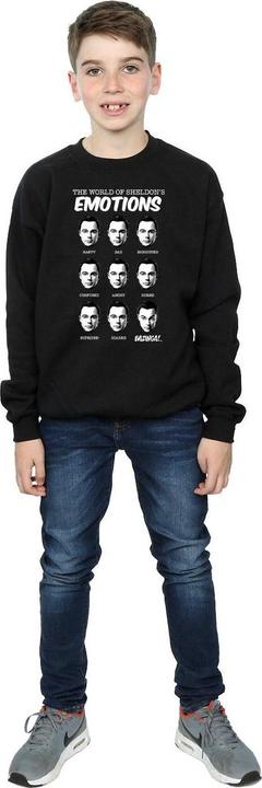 Produktbild Dam Sheldon Emotions Sweatshirt Jungen (152, 158)