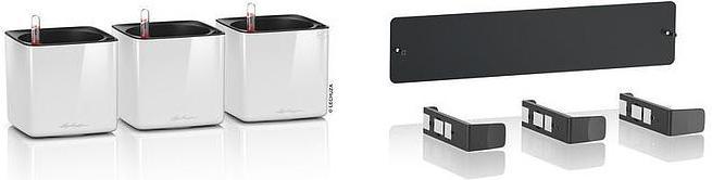 Actual product image Lechuza Green Wall Home Kit (15 cm)