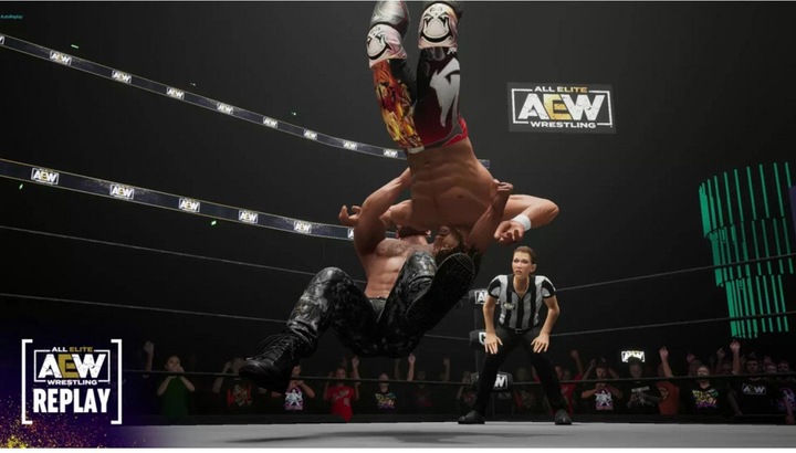 Actual product image THQ AEW: Fight Forever (PS4, EN)