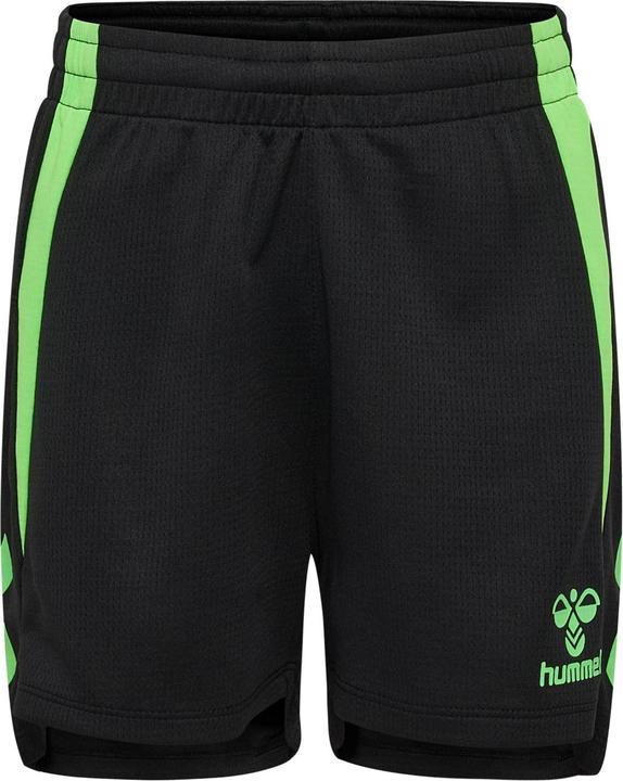 black/green gecko, blackgreengecko