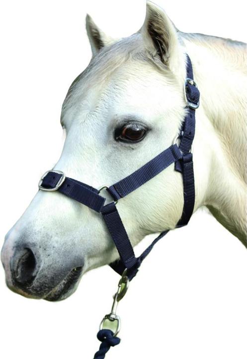 Produktbild Gallop Pferdehalfter und Führstrick Set