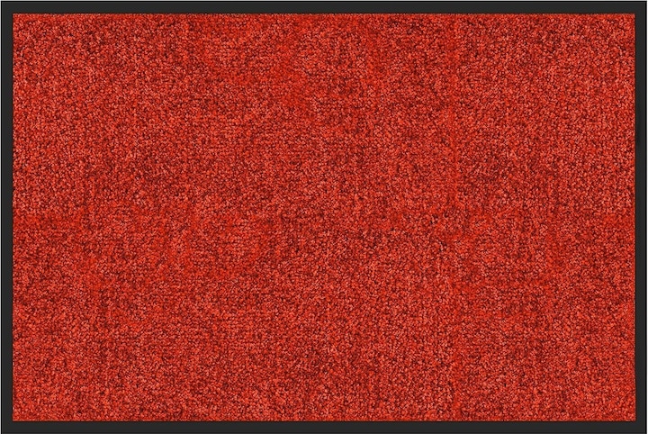 Rot