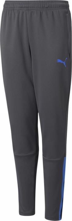 Actual product image Puma teamLIGA Training Pants Jr-657243 (140)