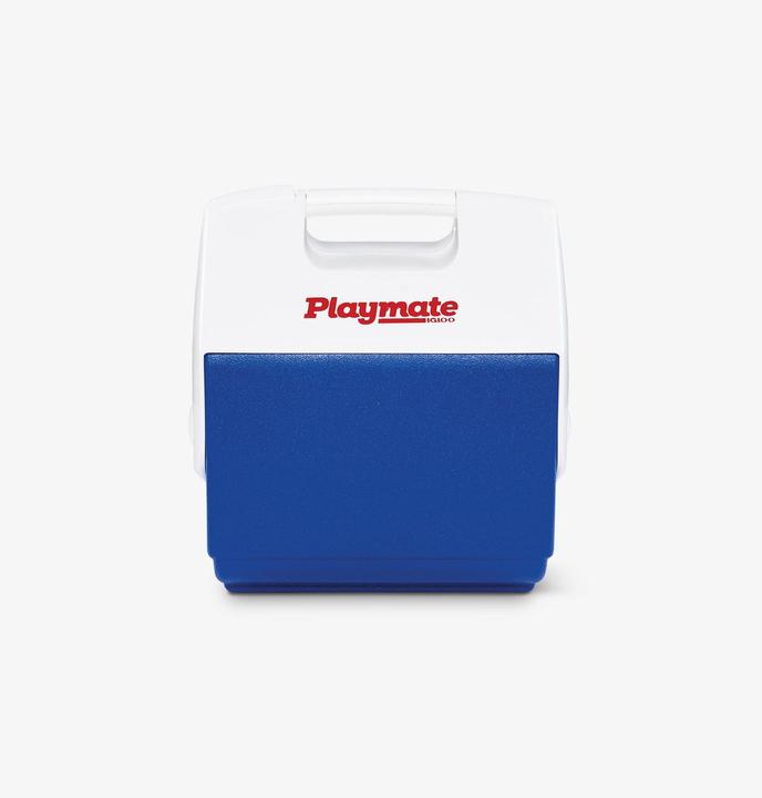Actual product image Igloo small caregiver ice box (6 l)