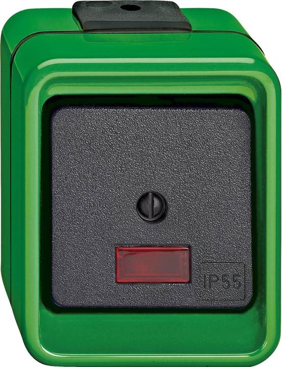 Actual product image Merten Rocker control switch, changeover, green, 372677