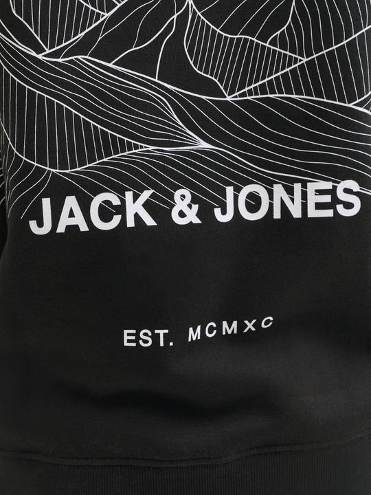 Produktbild Jack & Jones Kapuzenpullover SKI AW25 Kapuzenpullover (S)