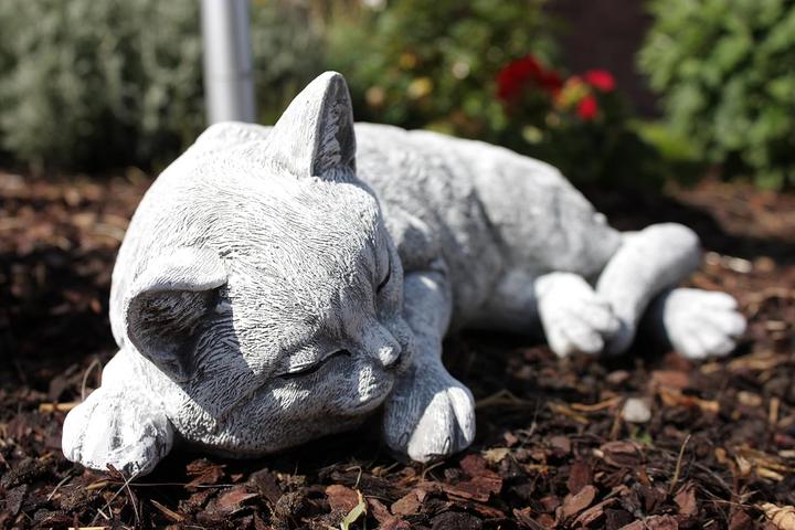 Image du produit Stoneandstyle Schlafende Katze