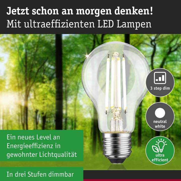 Produktbild Paulmann AGL Eco-Line (E27, 4.30 W, 806 lm, 1 x, B)