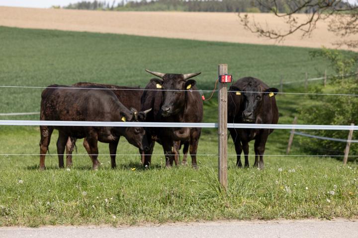 Produktbild Kerbl AKO Smart Satellite 2.0 Zaunprüfer (Weidezaunprüfer, Steuerung per App)