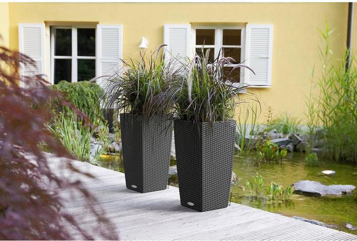 Immagine prodotto Lechuza Cubico Cottage (29.50 cm)