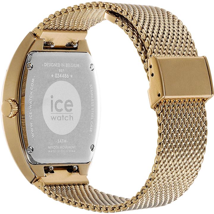 Actual product image ICE Watch Ice Boliday Dome White Gold (35 mm)