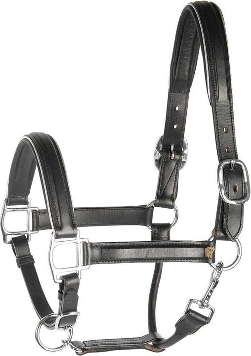 Produktbild Harry's Horse Halfter aus Leder