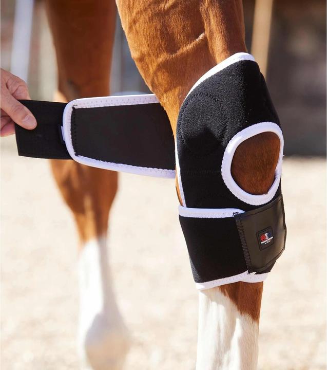 Produktbild Premier Equine magnetische knieschützer für pferde magni-teque