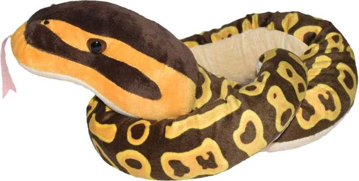 Actual product image Wild Republic Royal python