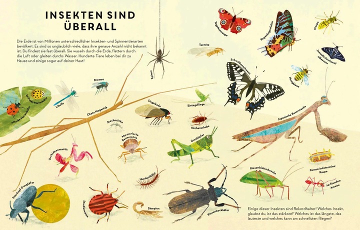 Produktbild Sechs Beine oder mehr – Die Wunderwelt der Insekten und Spinnen (Deutsch, Britta Teckentrup, 2020)