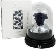 Actual product image Lattafa Perfumes Pride Thouq (Eau de parfum, 80 ml)