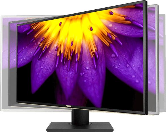 Actual product image ASUS ProArt PA329C (3840 x 2160 Pixels, 32")