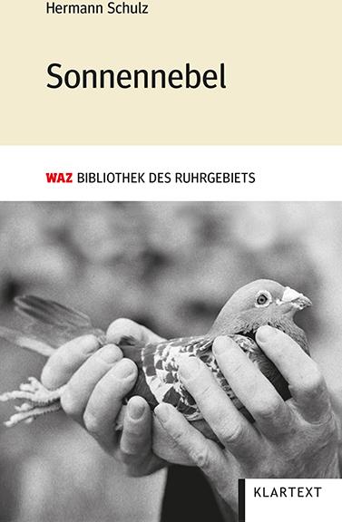 Produktbild Sonnennebel (Deutsch)