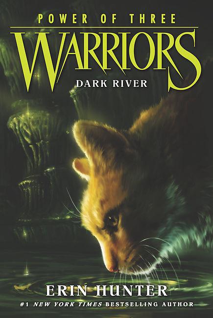 Produktbild Warriors: Power of Three 02: Dark River (Englisch)