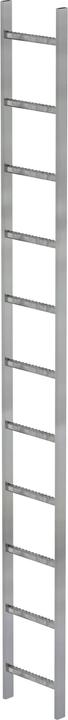 Productafbeelding Munk Thermisch verzinkte stalen schachtladder 300 mm vrije breedte 11 sporten (30 cm)