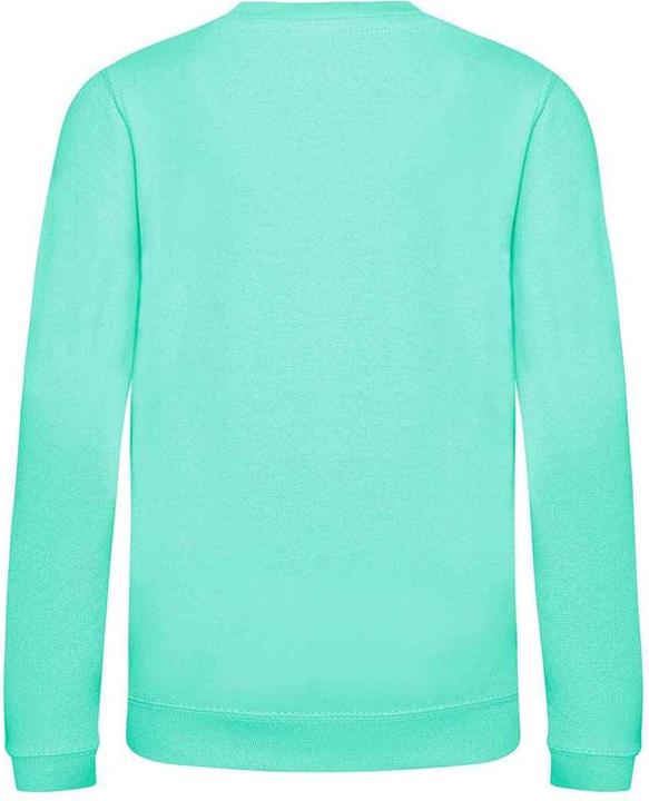 Immagine prodotto Awdis Felpa (140, 146)