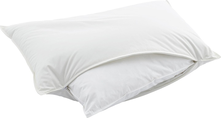 Immagine prodotto Swiss Dream by billerbeck Cuscino Piuma (50 x 90 cm)