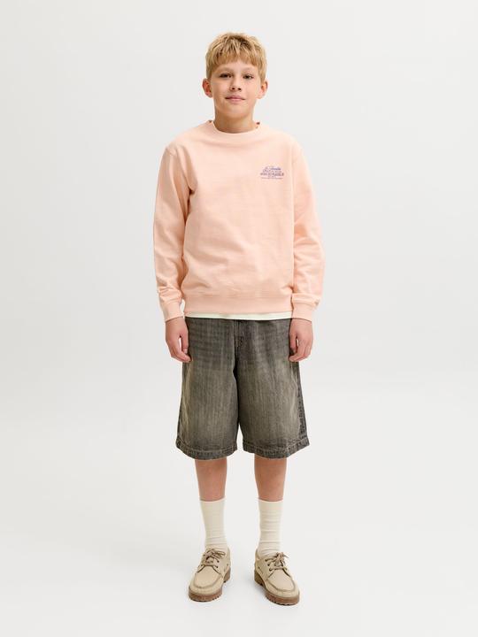 Produktbild Jack & Jones Sweatshirt Junior Sweatshirt (140)