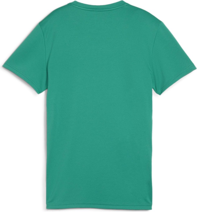 Actual product image Puma teamGOAL Jersey Wmn (L)
