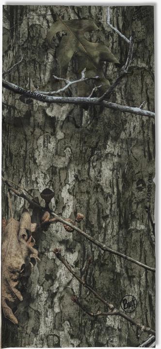 Oak Country