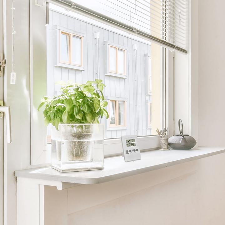 Actual product image TFA Wired thermometer 30