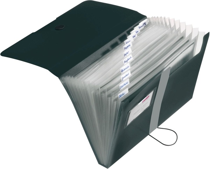 Actual product image Herlitz Fan folder (A4, 1 x)