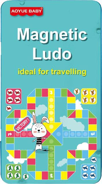 Energy Label Ludo Magnetic in Can