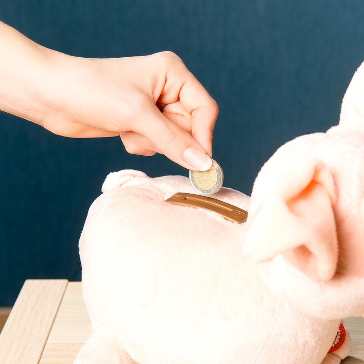 Produktbild Infactory Grunzendes Plüsch-Sparschwein mit wackelnden Ohren