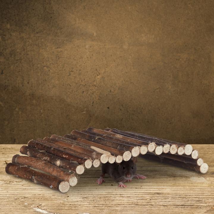 Actual product image Relaxdays Rodent bridge wood