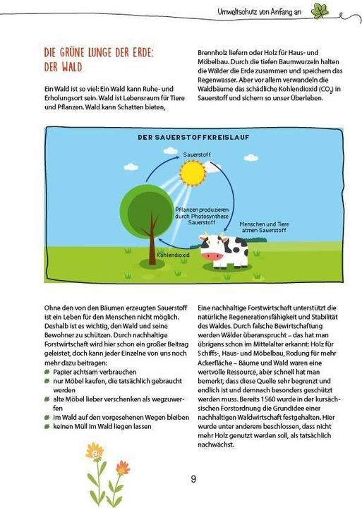 Produktbild Die Kita-Umwelt-Retter. Mit Kindern Umweltschutz und Nachhaltigkeit leben (Deutsch, Claudia Hohloch, 2021)
