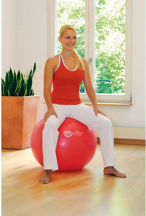 Actual product image Sissel Ball (55 cm)