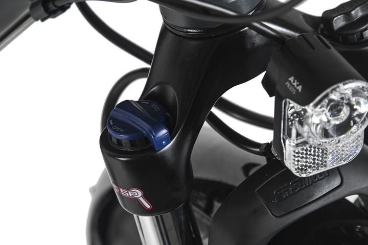 Produktbild Trekkingrad Damen 28" Firenze 300 24 Gänge RH 48 cm (48 cm)