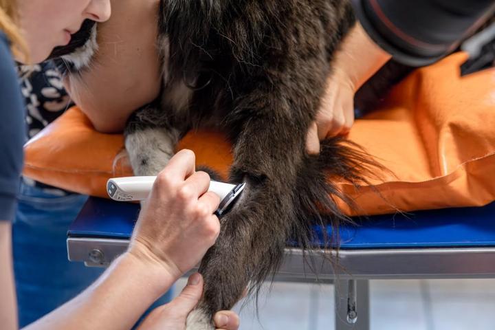 Produktbild Aesculap Isis (Hund)