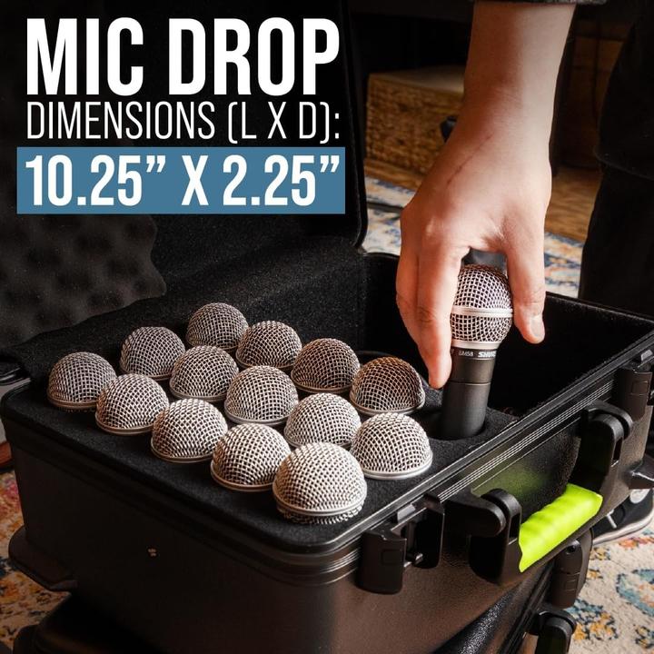 Actual product image Shure SH-MICCASE15