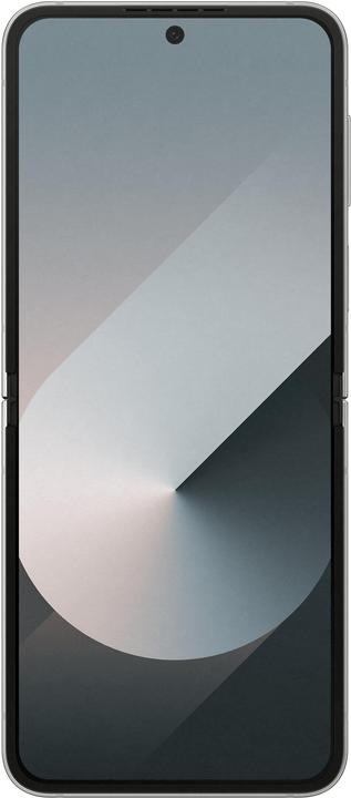 Actual product image Samsung DUPLIKAT Galaxy Z Flip6 (512 GB, Silver Shadow, 6.70", SIM + eSIM, 5G)
