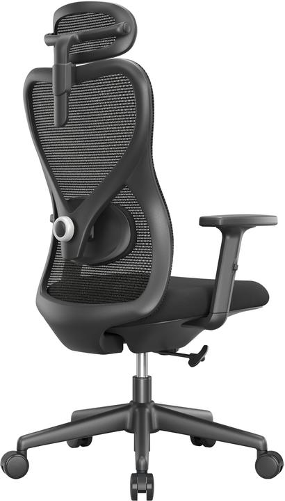 Image du produit Apollo Vyra (43 - 55.50 cm)