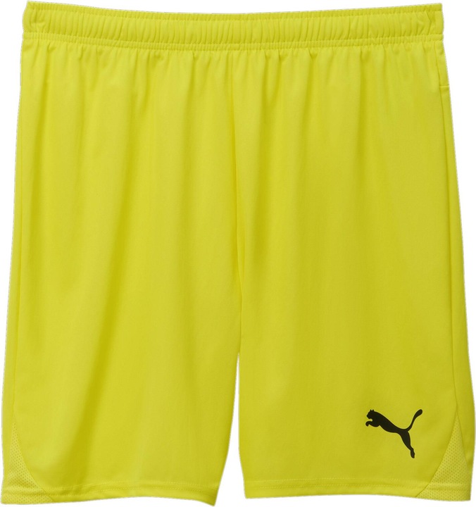 Actual product image Puma teamGOAL shorts (L)